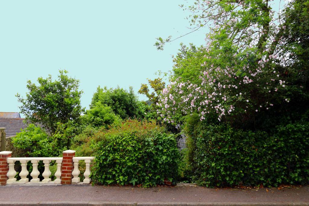 Lammas Park House Bed and Breakfast Dawlish Eksteriør billede